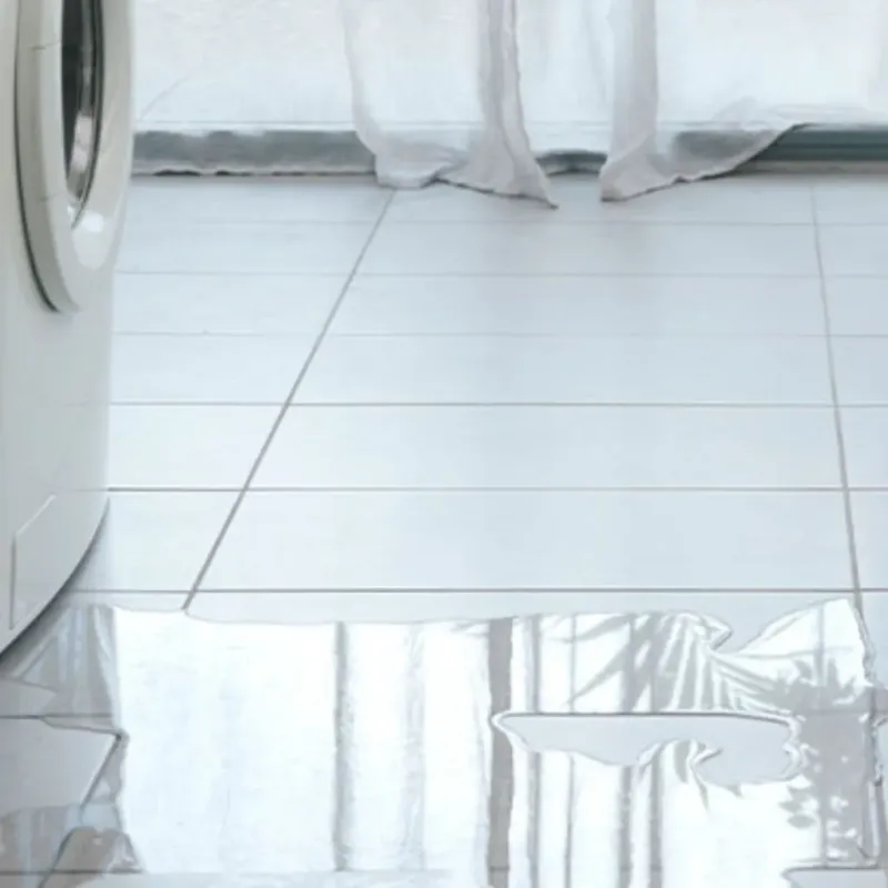 Appliance Leak Cleanup in Akutan, AK